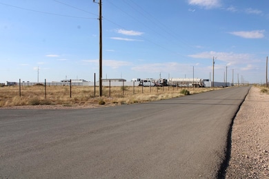 2109 Crockett Ave, Midland, TX 79703 - photo 2