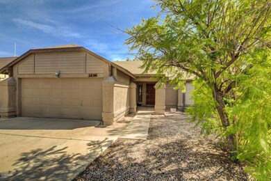 Mesquite (2)