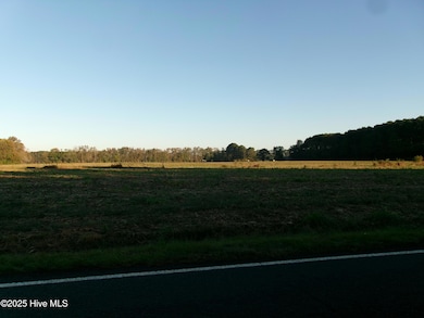 840 Wilmar Rd, Vanceboro, NC 28586 - photo 3