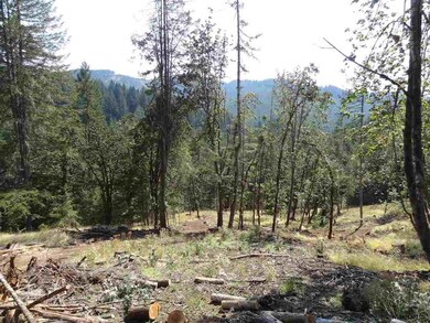 24845 Hidden Valley Rd, Philomath, OR 97370 - photo 3