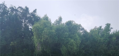 unlisted-address, Vacherie, LA 70090 - photo 2