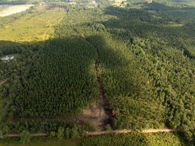 00 Pisgah Rd unit 2, Brandon, MS 39047 - photo 6