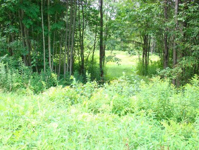 5 Poverty Row, Whitingham, VT 05361 - photo 6