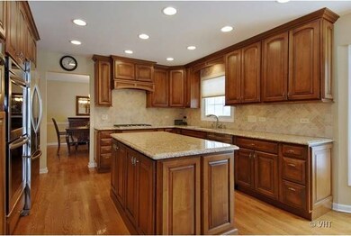 930 Tim Tam Cir, Naperville, IL 60540 - photo 4