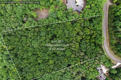 Aerial overview of property's location with property boundaries highlighted and a forest