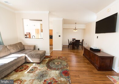 44184 Shady Glen Terrace, Ashburn, VA 20147 - photo 5