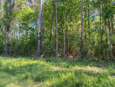 000 Trace Rd, Laurel, MS 39443 - photo 2