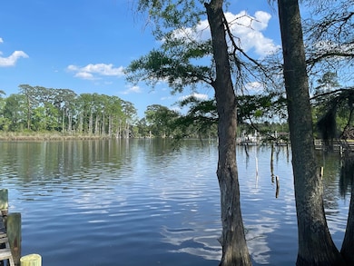 0 Cox Rd, River Road, NC 27889 - photo 5