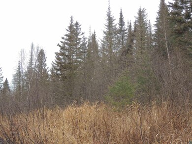 View of landscape