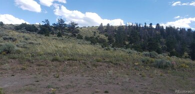 4738 Trudell Rd, Fort Garland, CO 81133 - photo 2