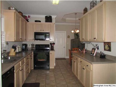 Black Appliances and lots of counter space!
