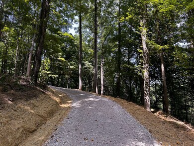 0 Parkinson Rd, Rutland, OH 45775 - photo 6