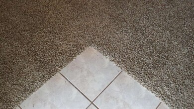Tile entry and new living room carpet