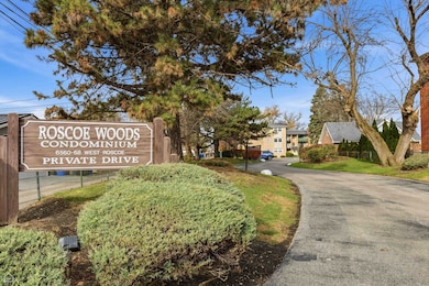 6568 W Roscoe St unit 2N, Chicago, IL 60634 - photo 4