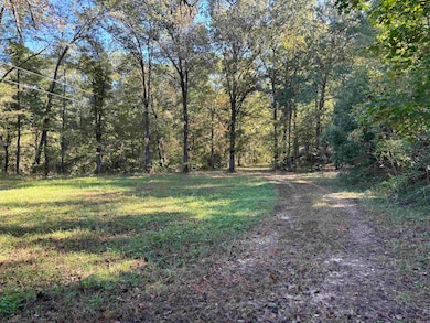 7112 Grant 67, Grapevine, AR 72057 - photo 6