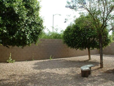 Back yard