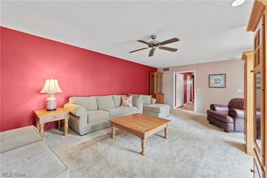 Ceiling fan & carpet floors