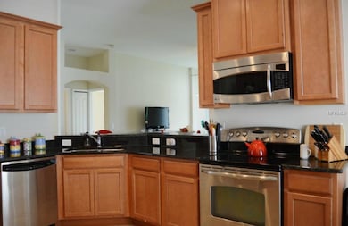 10153 Coldwater Loop, Land O Lakes, FL 34638 - photo 7