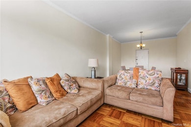 Rosewood unit 1T, Yonkers, NY 10701 - photo 6
