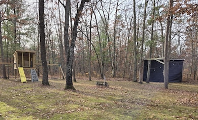 4141 E Jost Dr, Luther, MI 49656 - photo 4