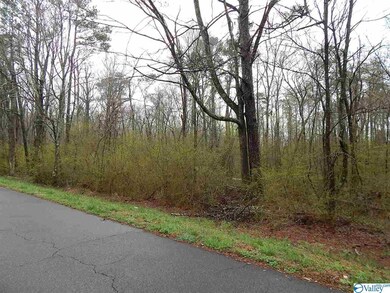 0 Randles Rd unit 1113269, Grant, AL 35747 - photo 3