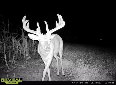 N23415 Oak Ridge Dr, Galesville, WI 54630 - photo 3