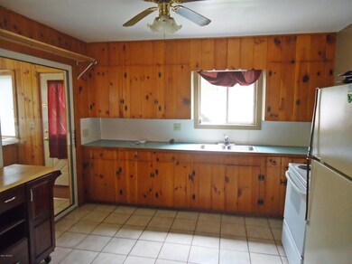 11291 Bridge St, Baldwin, MI 49304 - photo 5