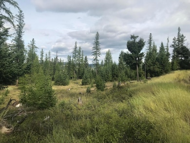 Nhh Whitetail Ridge, Kalispell, MT 59901 - photo 5