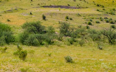 Homesite