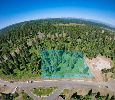 656 Aster Ct unit 67, McCall, ID 83638 - photo 3