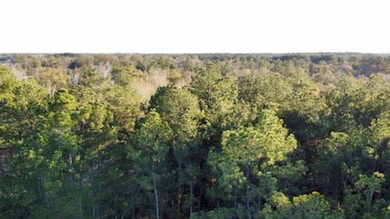 2700 County Road 443, Magnolia Springs, TX 75956 - photo 6