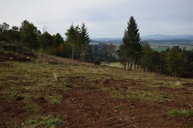 6011 Bethel Heights Rd NW, Salem, OR 97304 - photo 7