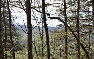 Additional View