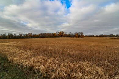 IMG_5555