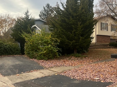 209 Bunker Hill Dr, Bolingbrook, IL 60440 - photo 3