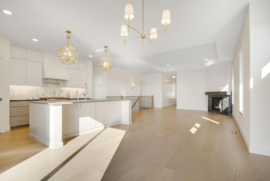 The light flowing through the south facing patio doors floods the entire main level.  You will love this space and incredible finishes.