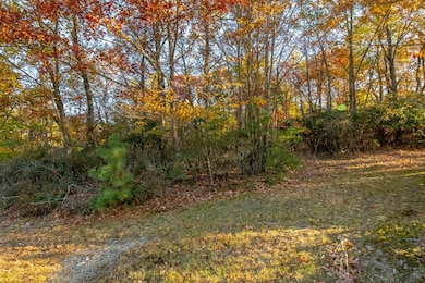 Moonlight Ln, Fancy Gap, VA 24328 - photo 3