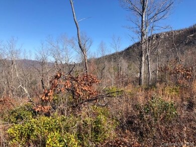 33 Dobsons Knob Loop Rd unit 33, North Cove, NC 28752 - photo 4