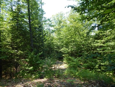 - Cramm Rd, Parsonsfield, ME 04047 - photo 6