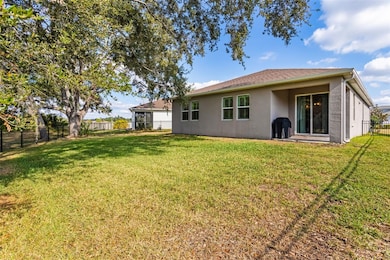 10804 Whitland Grove Dr, Riverview, FL 33578 - photo 5