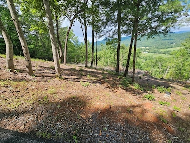 17 Buckhead Hills, Hiawassee, GA 30546 - photo 3