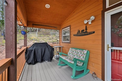 32 Iowa Ln, Woodland Park, CO 80863 - photo 2