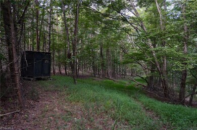 02 Hanging Rock Forest Rd unit Tract E (10.8), Danbury, NC 27016 - photo 7