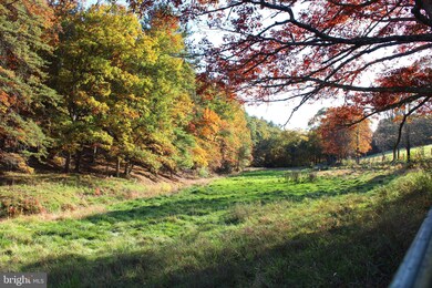 63 +/- Acres Off Needmore Rd, Baker, WV 26801 - photo 2