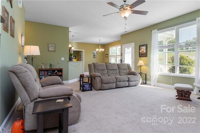 78 Bear Creek Hills Dr, Leicester, NC 28748 - photo 5