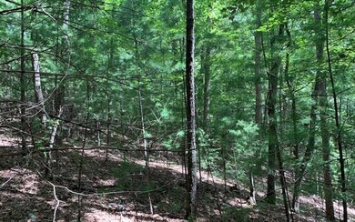 LT 10 Dover Highlands Trail, Ellijay, GA 30540 - photo 7