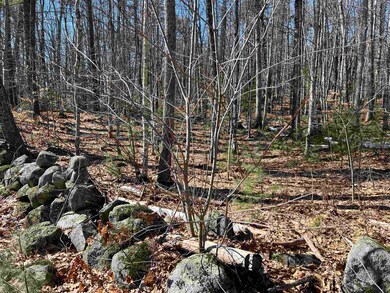 Lot 5 Middle Rd unit 29-002-005, Center Tuftonboro, NH 03816 - photo 5