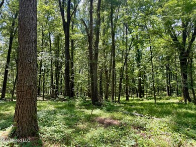 IMG_0145
