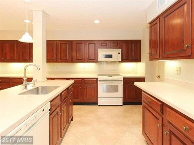 8101 Connecticut Ave unit N601, Chevy Chase, MD 20815 - photo 4