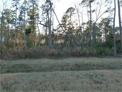 1049 Autumnwood Dr, Magnolia, TX 77354 - photo 3